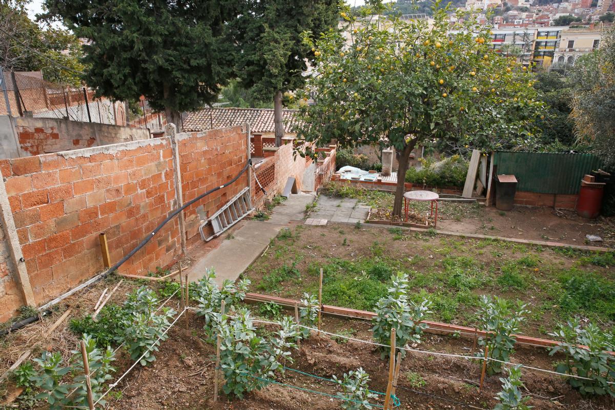 Huertos afectados por la actuación urbanística en la Baixada de Can Mateu, en Horta.