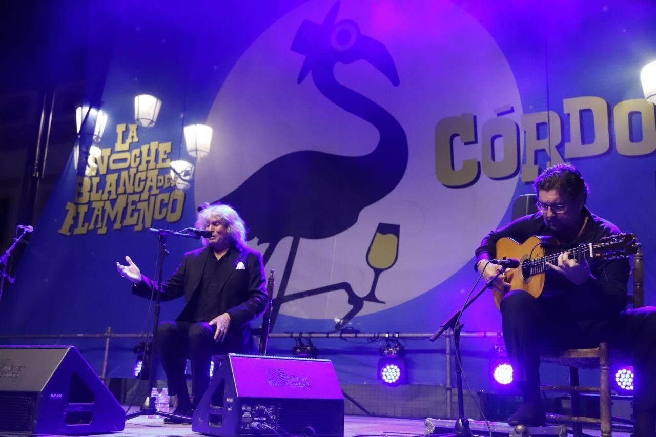 El concierto de José Mercé en la Noche Blanca del Flamenco, en imágenes