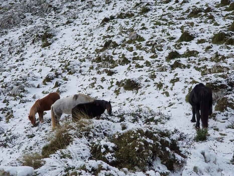 Las imágenes del temporal en Asturias