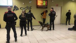 El dispositivo policial desplegado esta sábado.