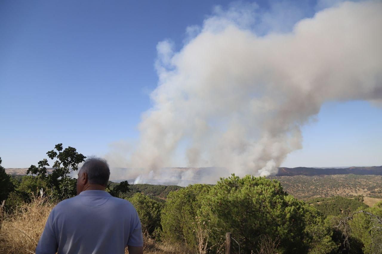 Incendio forestal en Cerro Muriano