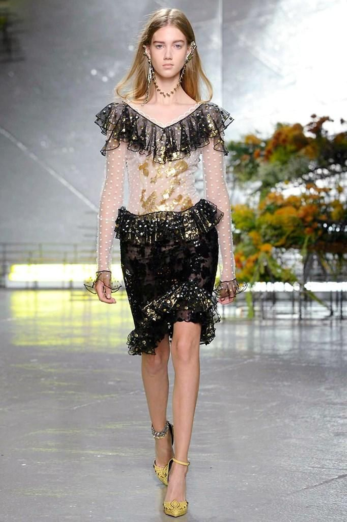 Rodarte