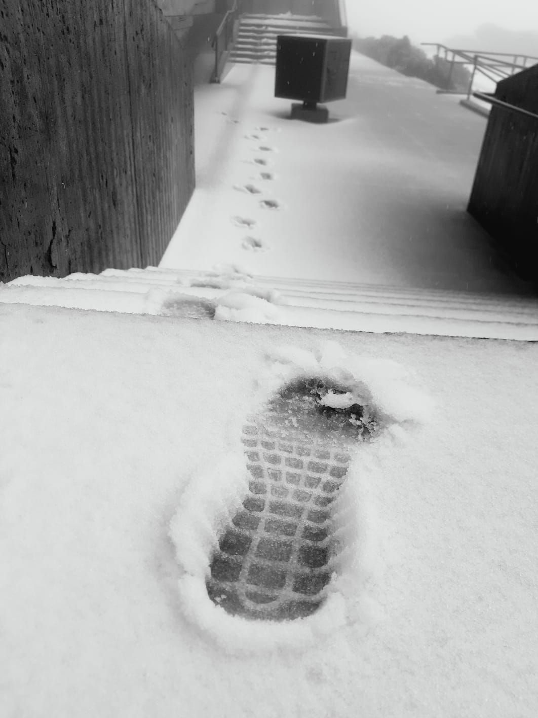 Nevada en La Palma