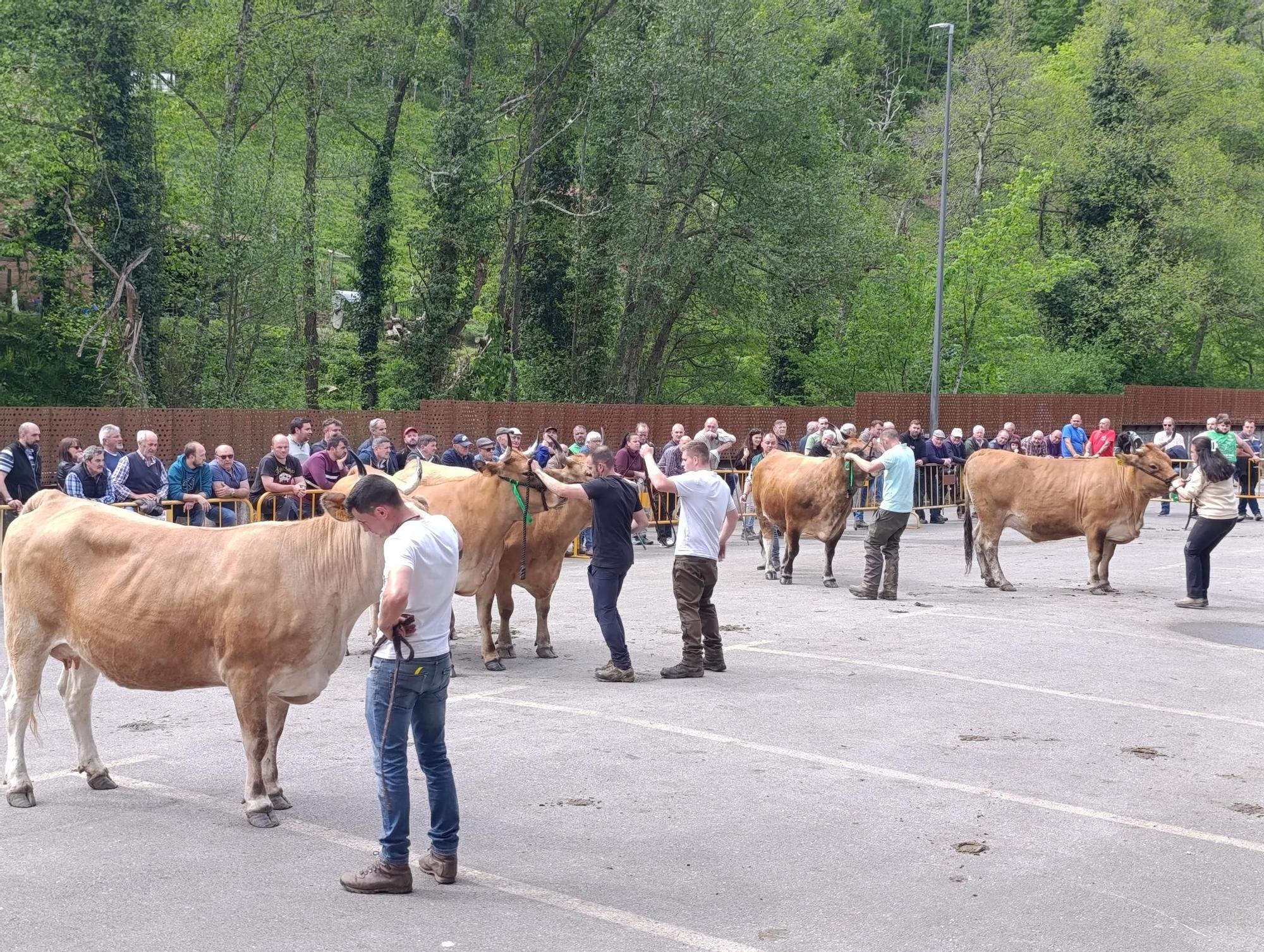 El XXXI Certamen-Exposición de Asturiana de los Valles de Teverga, en imágenes
