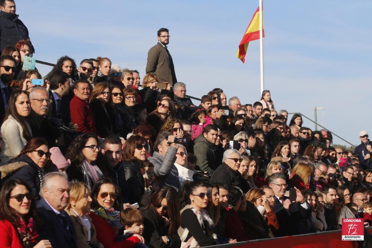 Fotogalería / Día de la Inmaculada en Cerro Muriano