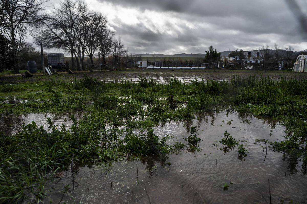 Galería | Estado del Marco tras el desembalse del Guadiloba en Cáceres