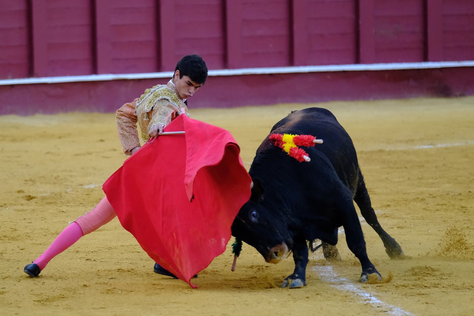 XVI Certamen Internacional de Escuelas Taurinas La Malagueta