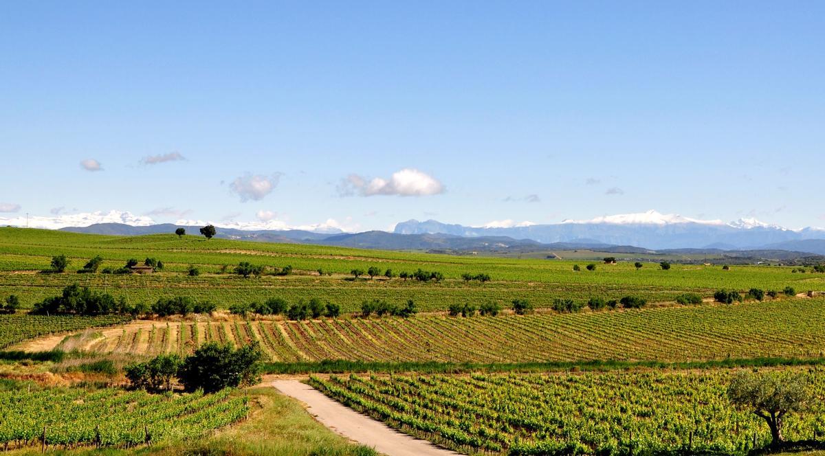 El entorno de Barbastro, lleno de viñedos y paisajes prepirenaicos