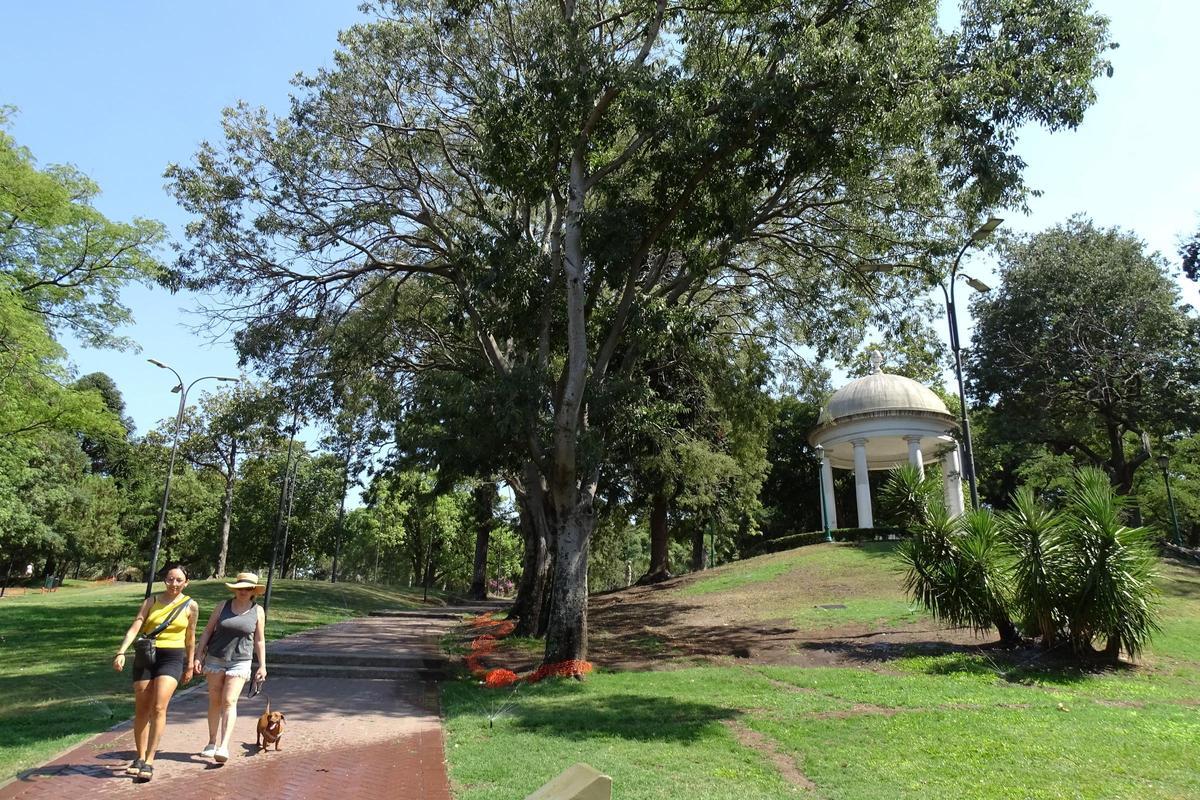 L’Argentina pateix la pitjor onada de calor de la seva història L’Argentina pateix la pitjor onada de calor de la seva història