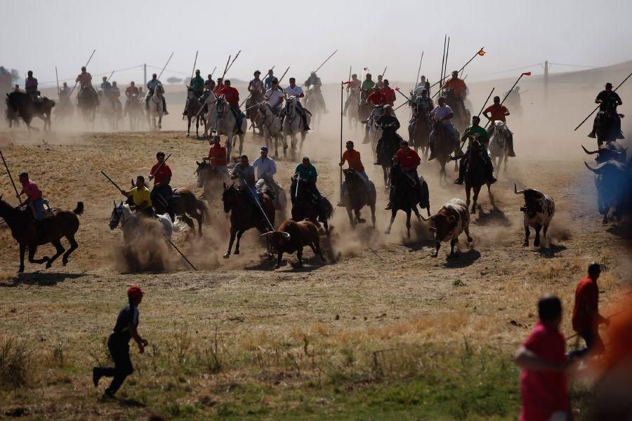 Encierro de campo en Guarrate