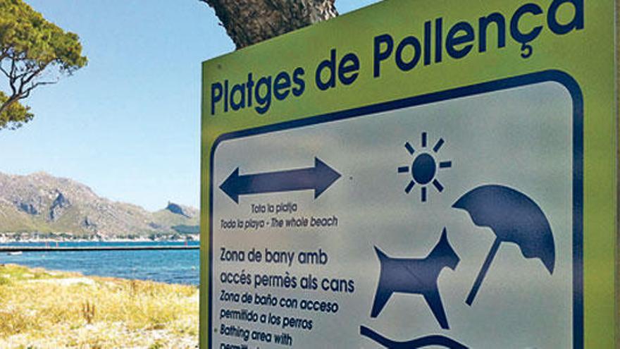 Los perros ya tienen playa en Pollença