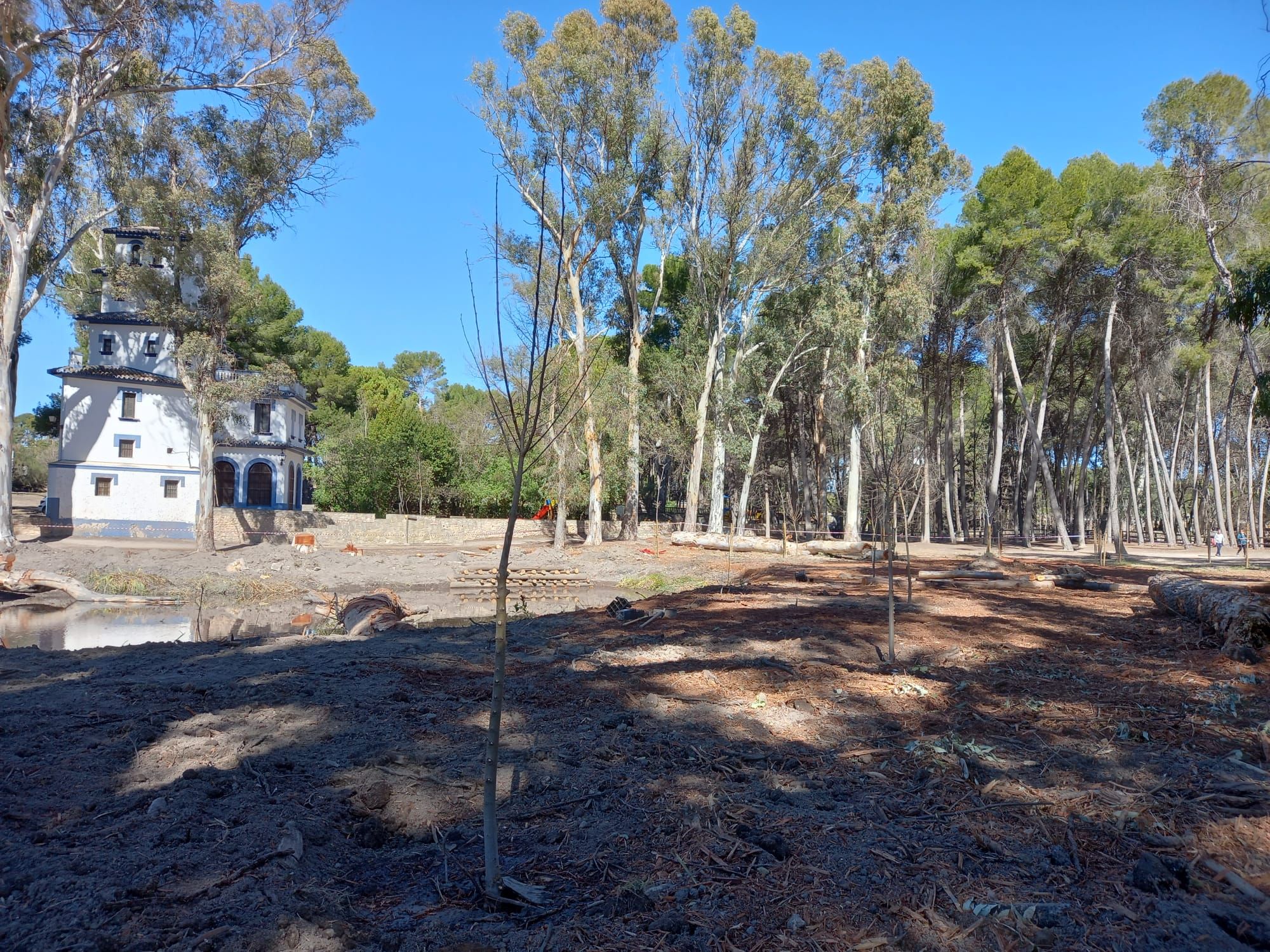 El humedal del Parc de Sant Vicent de Llíria llevaba más de medio siglo sepultado y ahora es un hábitat de la flora y fauna local