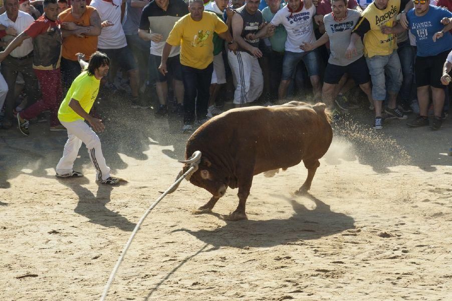 La carrera del Toro Enmaromado 2017 Razonador