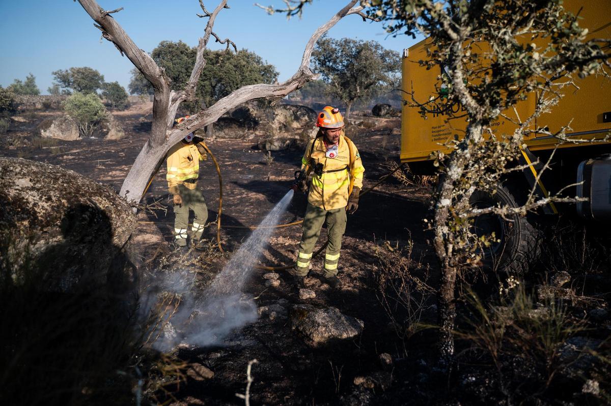Fotogalería | Las imágenes del incendio de Las Viñas, en Arroyo de la Luz