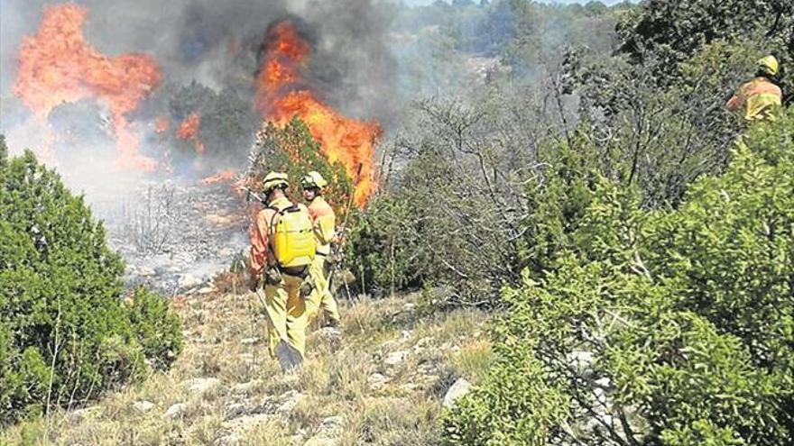 El 27% de la superficie forestal presenta alto riesgo de incendio