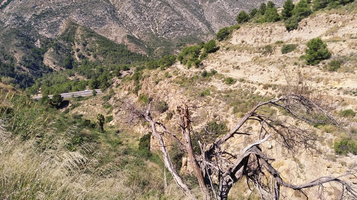 Los terrenos que se tienen que sellar del antiguo vertedero