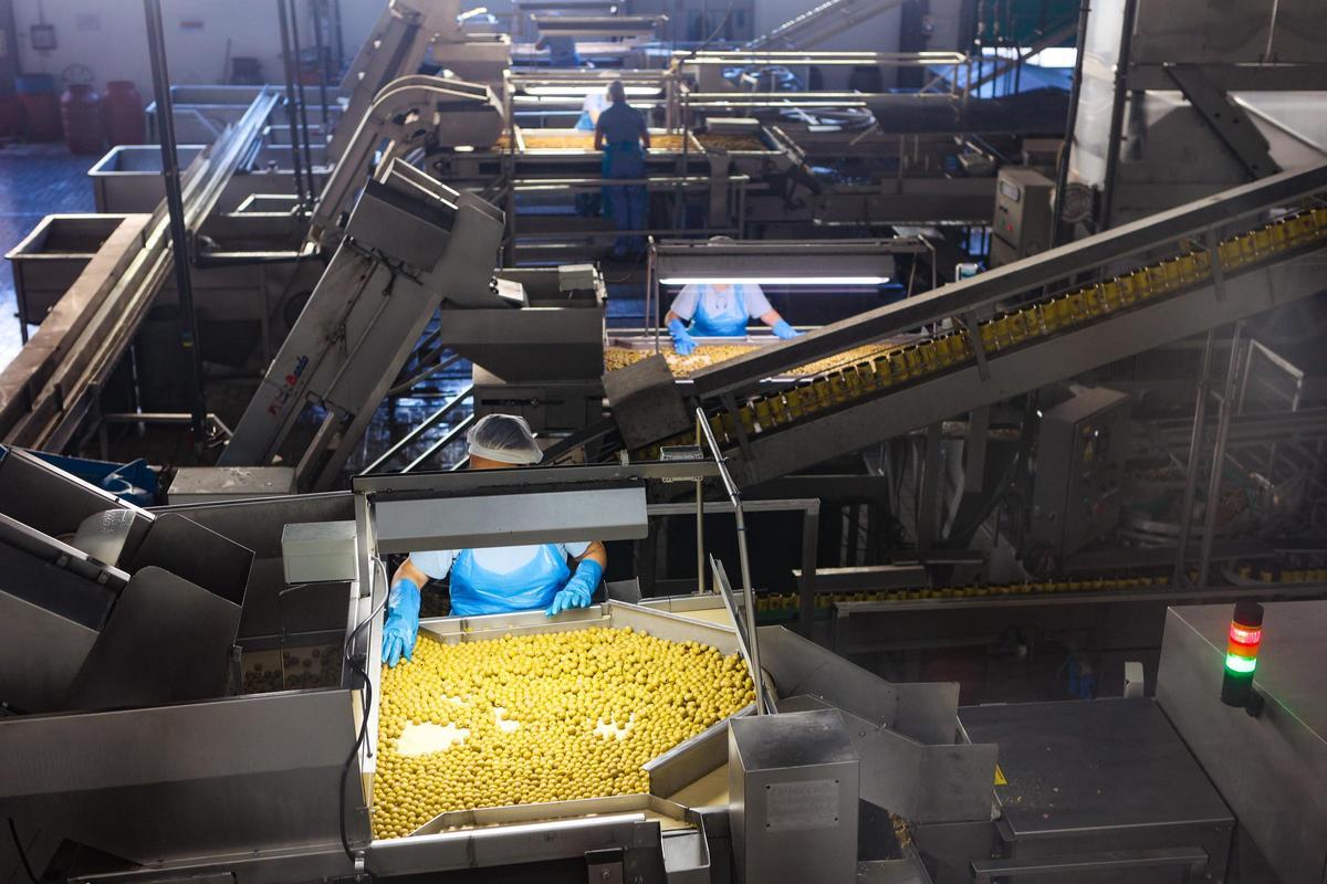 Planta de producción de Cándido Miró.