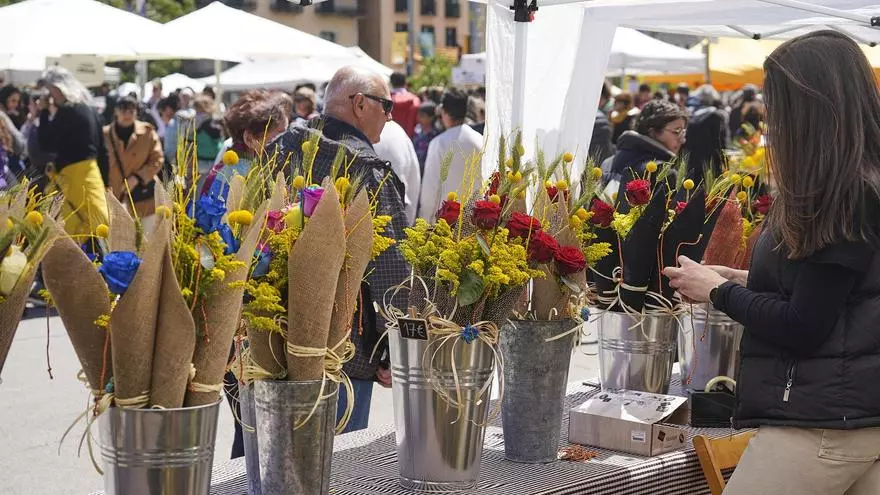 Sant Jordi 2025 en Santa Coloma: actividades y paradas de libros y rosas