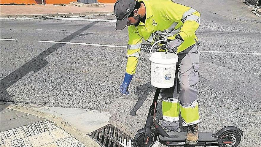 Refuerzan con tres tratamientos al día la lucha contra los mosquitos