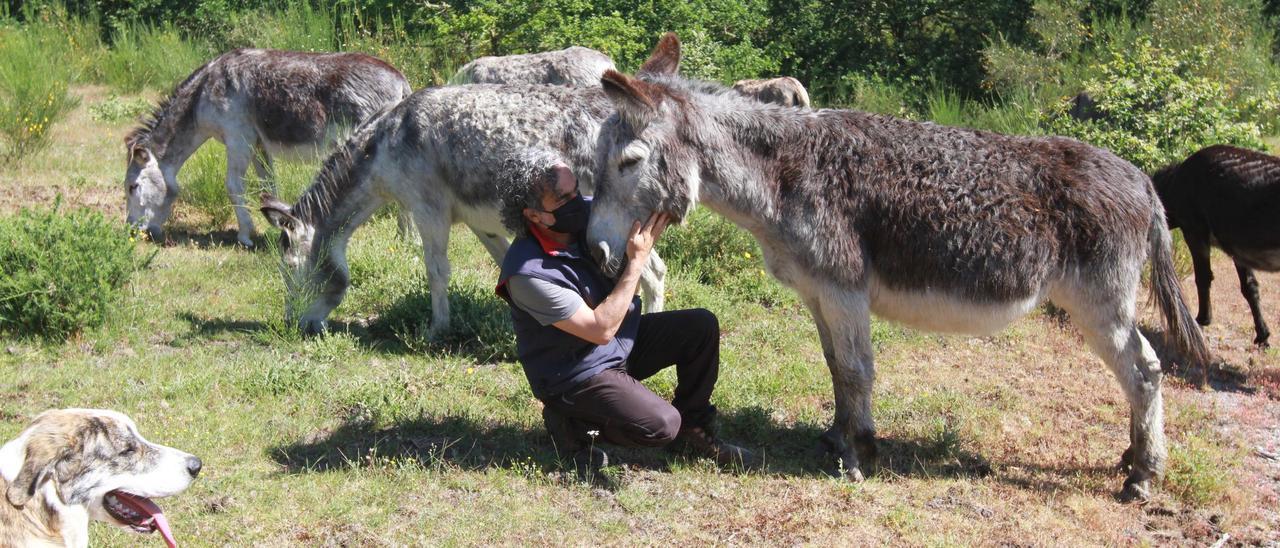 David Lema acaricia a Basilio, un burro al que ayudó a nacer, ante la mirada del perro Tao. // IÑAKI OSORIO