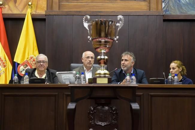 El equipo Rocasa Remudas de balonmano es ...