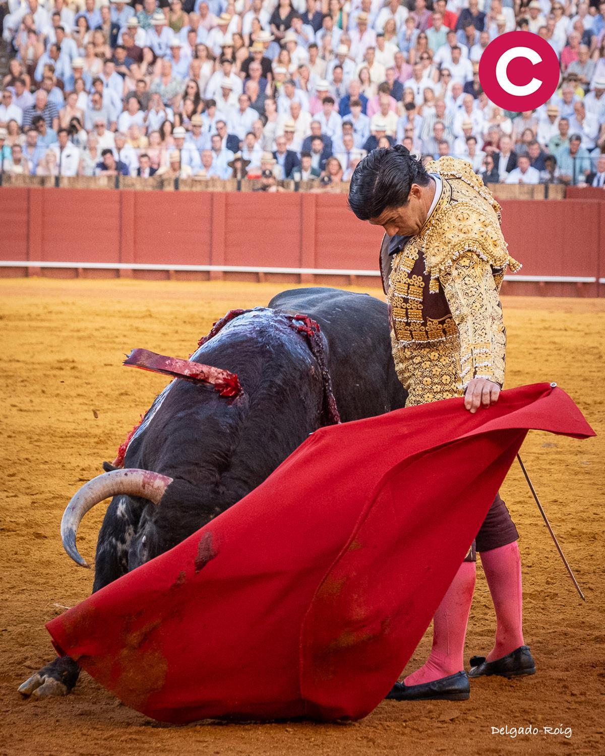 Aguado, al natural.