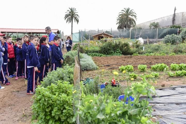 Visita escolar a la Granja Agricola del Cabildo