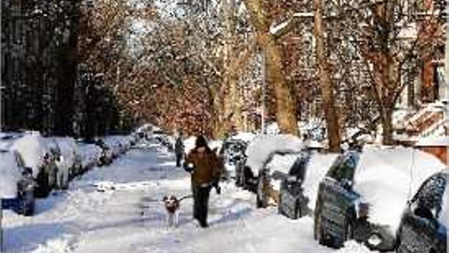 La nevada va deixar els cotxes dels carrers de Nova York plens de neu.