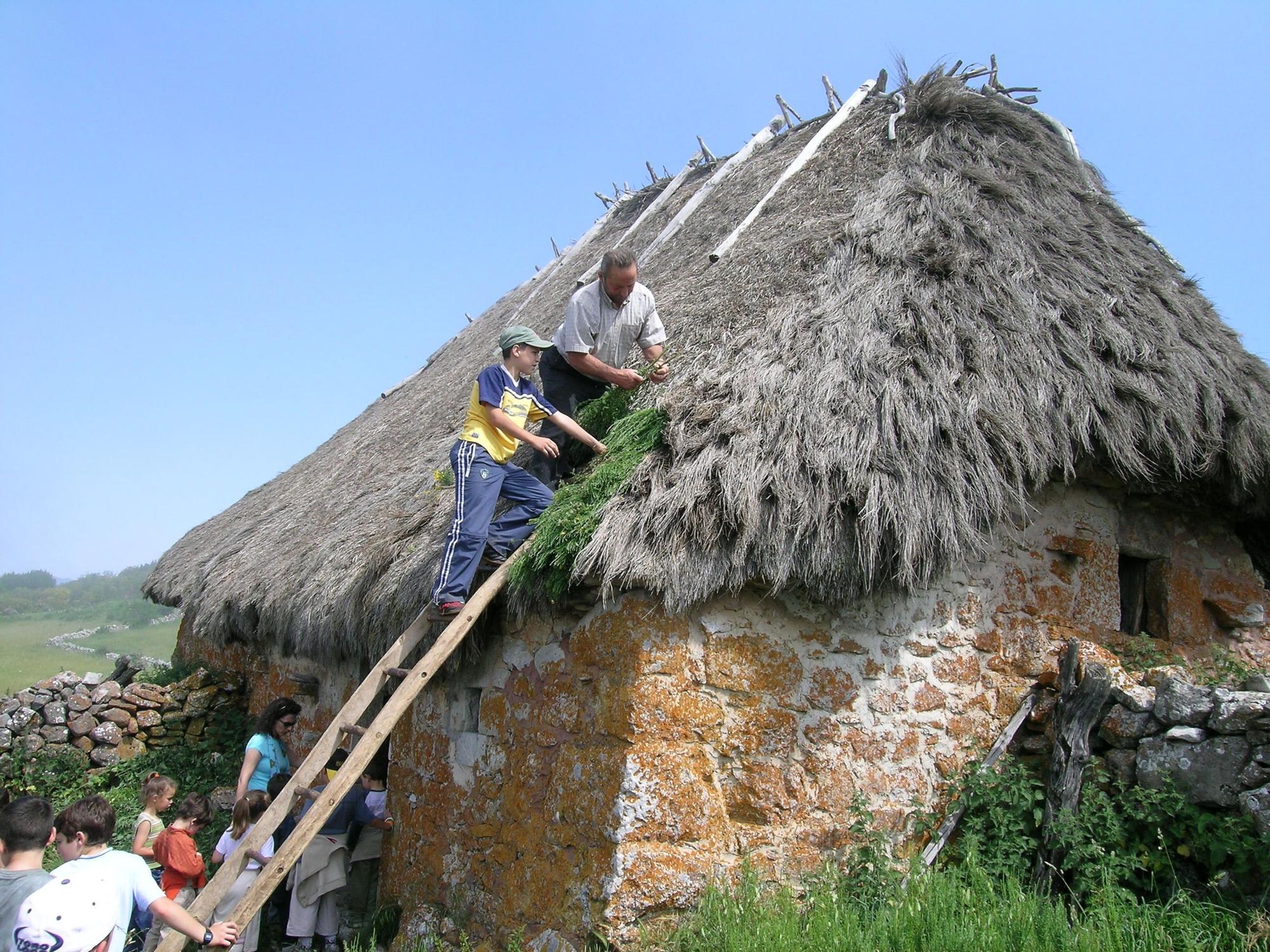 Teitando en Mumián.