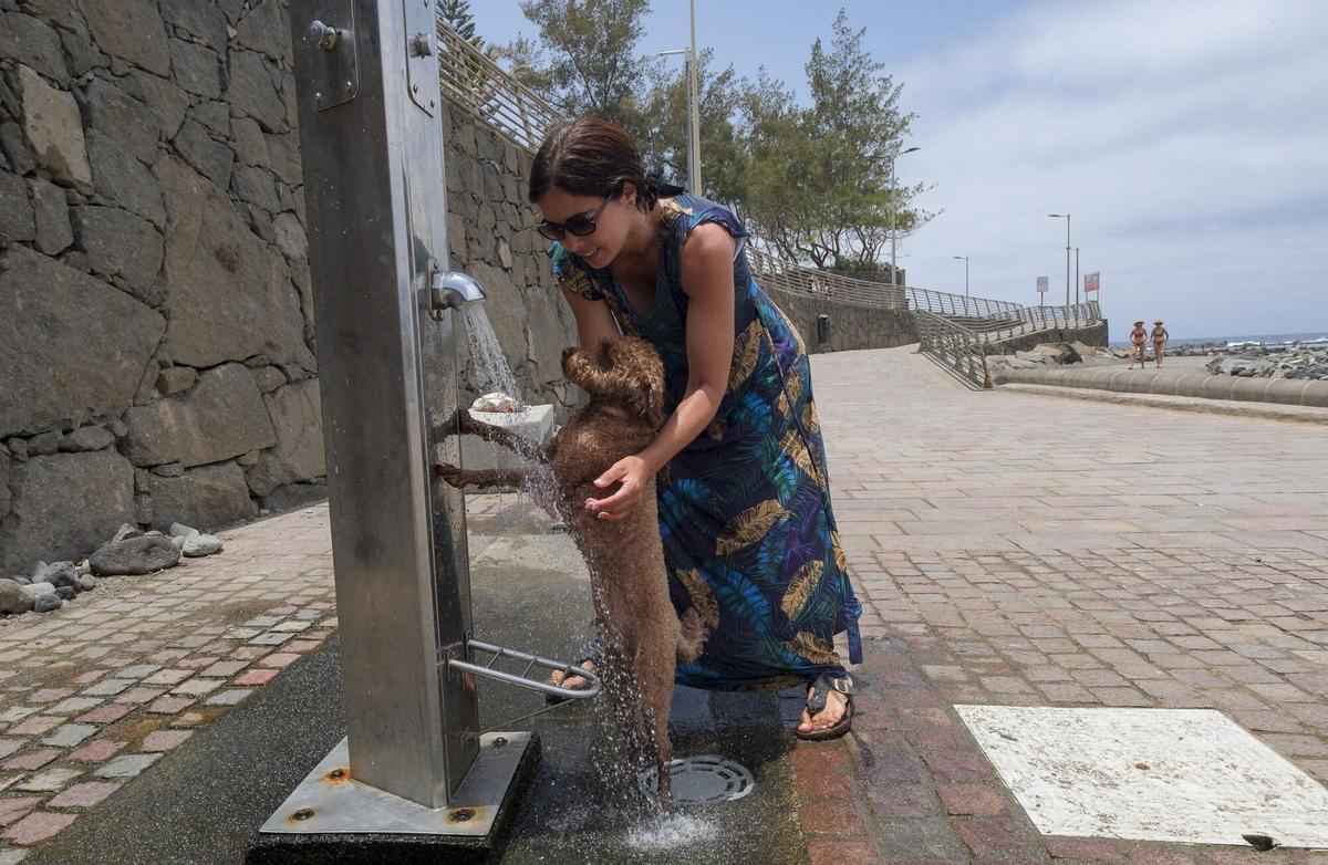 Calor en Gran Canaria: Bañaderos (Arucas, 6/7/2026)