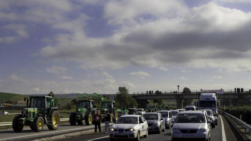 Cientos de tractores se incorporan a la autovia A-49 en Huévar (Sevilla), interrumpiendo la circulación de vehiculos, con motivo de la convocatoria de movilizaciones &quot;por la supervivencia del campo andaluz&quot;, para protestar por la crisis que sufre el sector agrario.