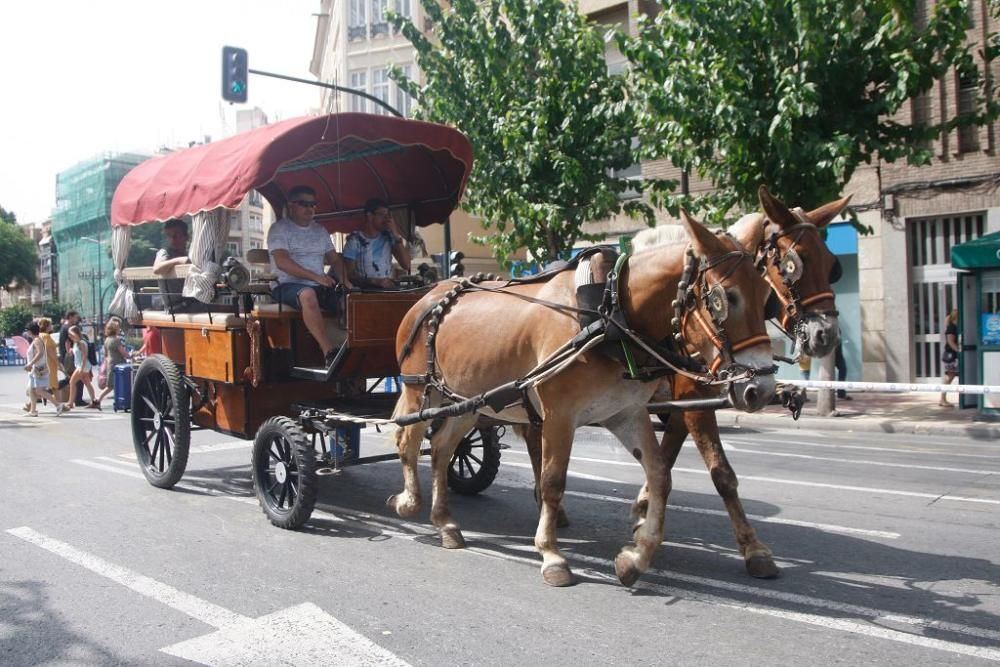 Día del caballo en la Feria de Murcia 2018