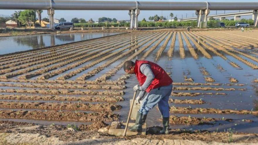 Agricultores y ganaderos murcianos recibirán más de cinco millones este 2023