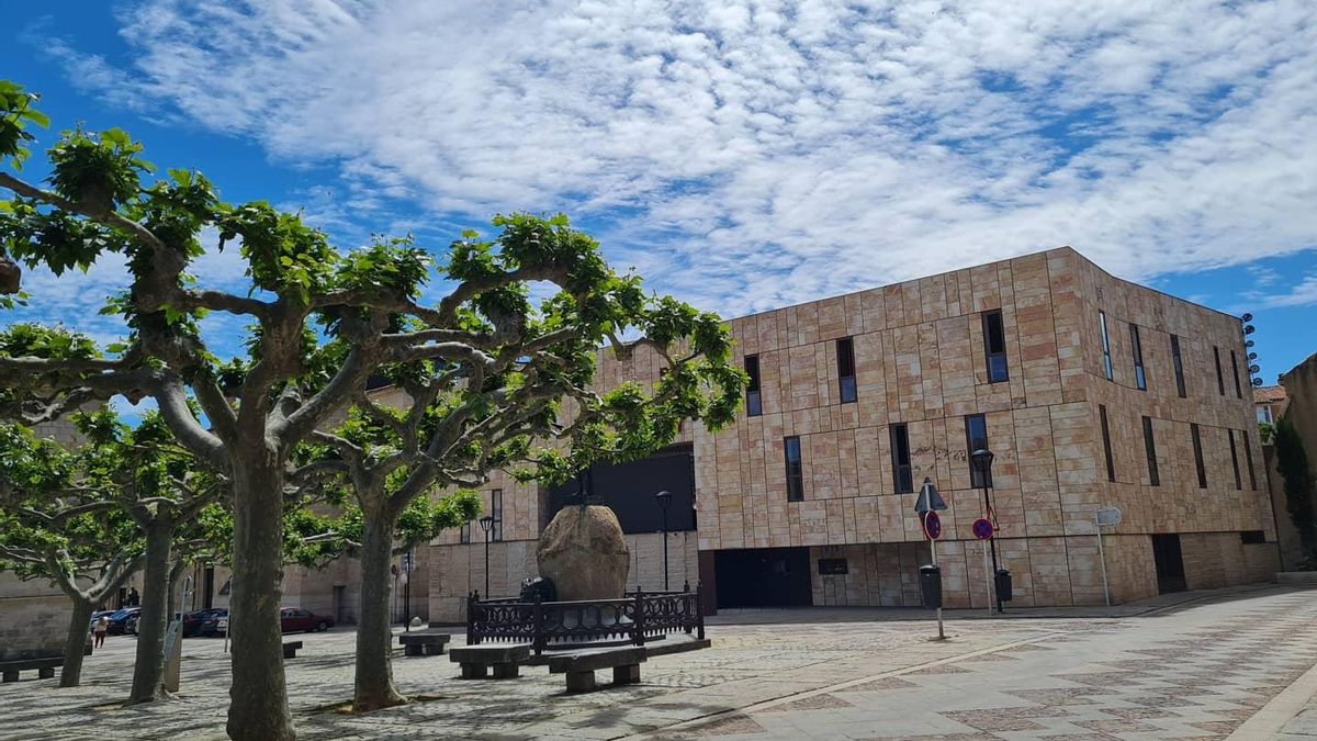 Edificio de Las Arcadas de la Diputación de Zamora en la plaza Viriato.