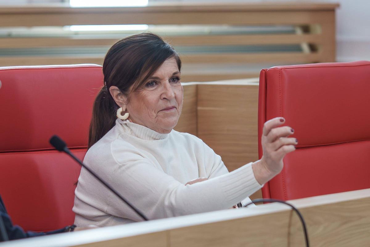 La sesión plenaria en el Ayuntamiento de Mérida se ha prolongado durante más de dos horas.