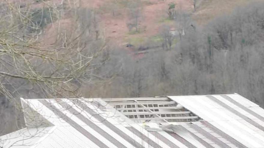 Comienzan las demandadas obras de la cubierta del polideportivo municipal de Cabrales