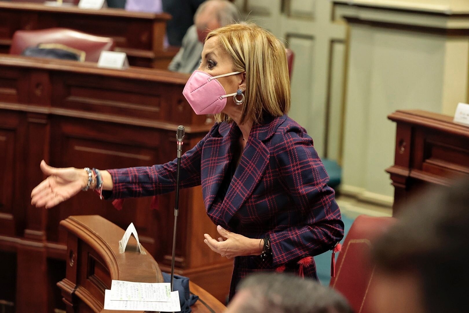 Pleno en el Parlamento de Canarias (23/02/21)