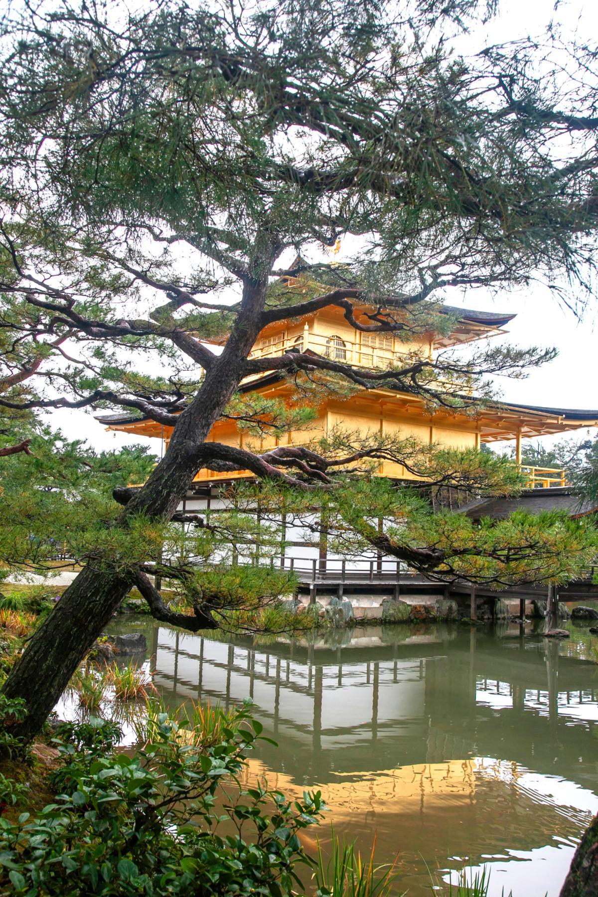 Kinkaku-ji, el Pabellón de Oro.