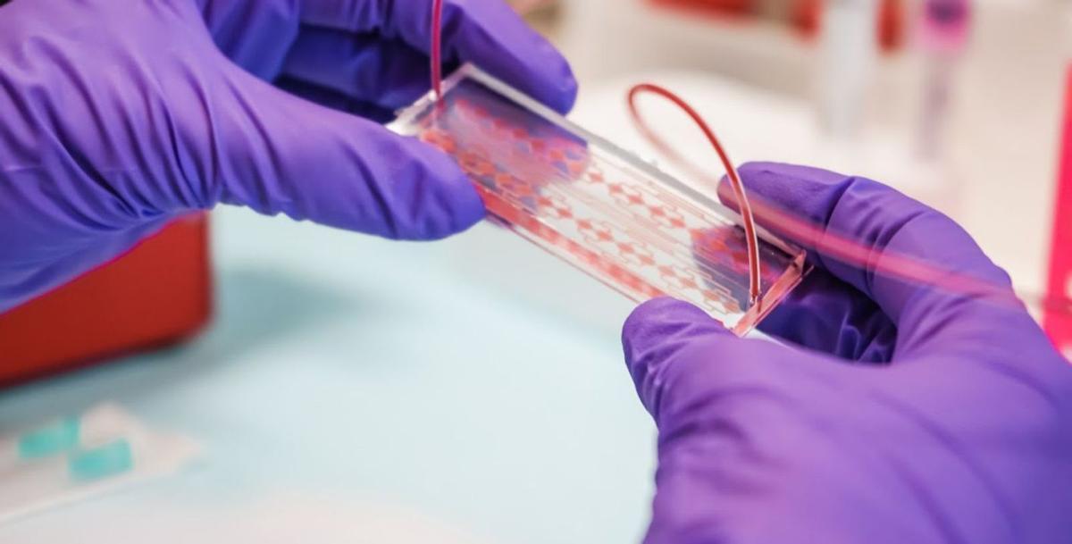 Un técnico de laboratorio, con un dispositivo de biopsia líquida.