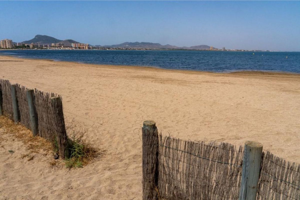 PLAYA CANINA LAS SALINAS (Los Alemanes / Playa Paraiso)