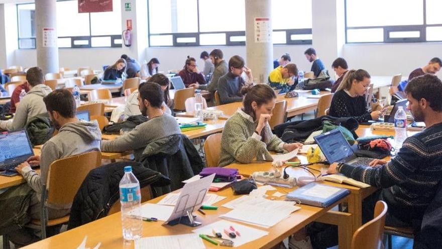 Estudiantes de la Universidad de Elche