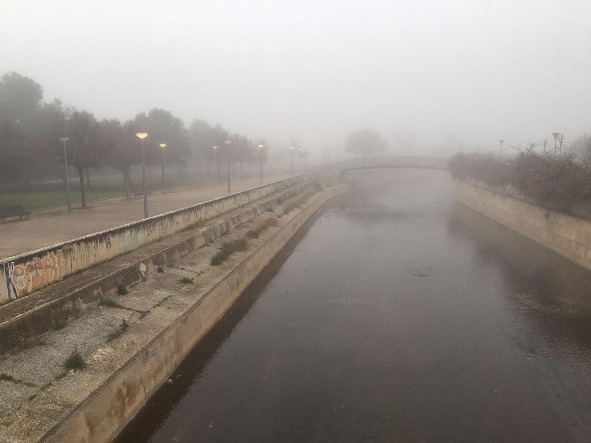 La niebla cubre Palma