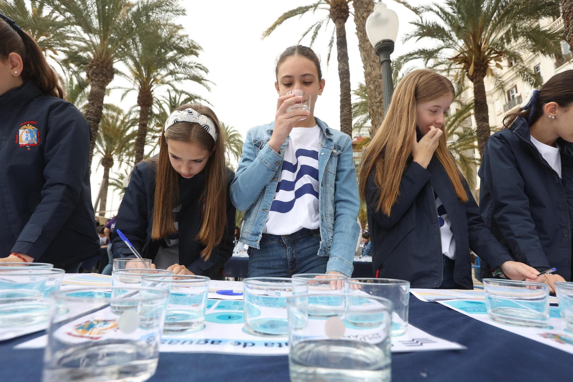 Cata de agua a ciegas de las candidatas a Bellea del Foc en la Explanada de Alicante