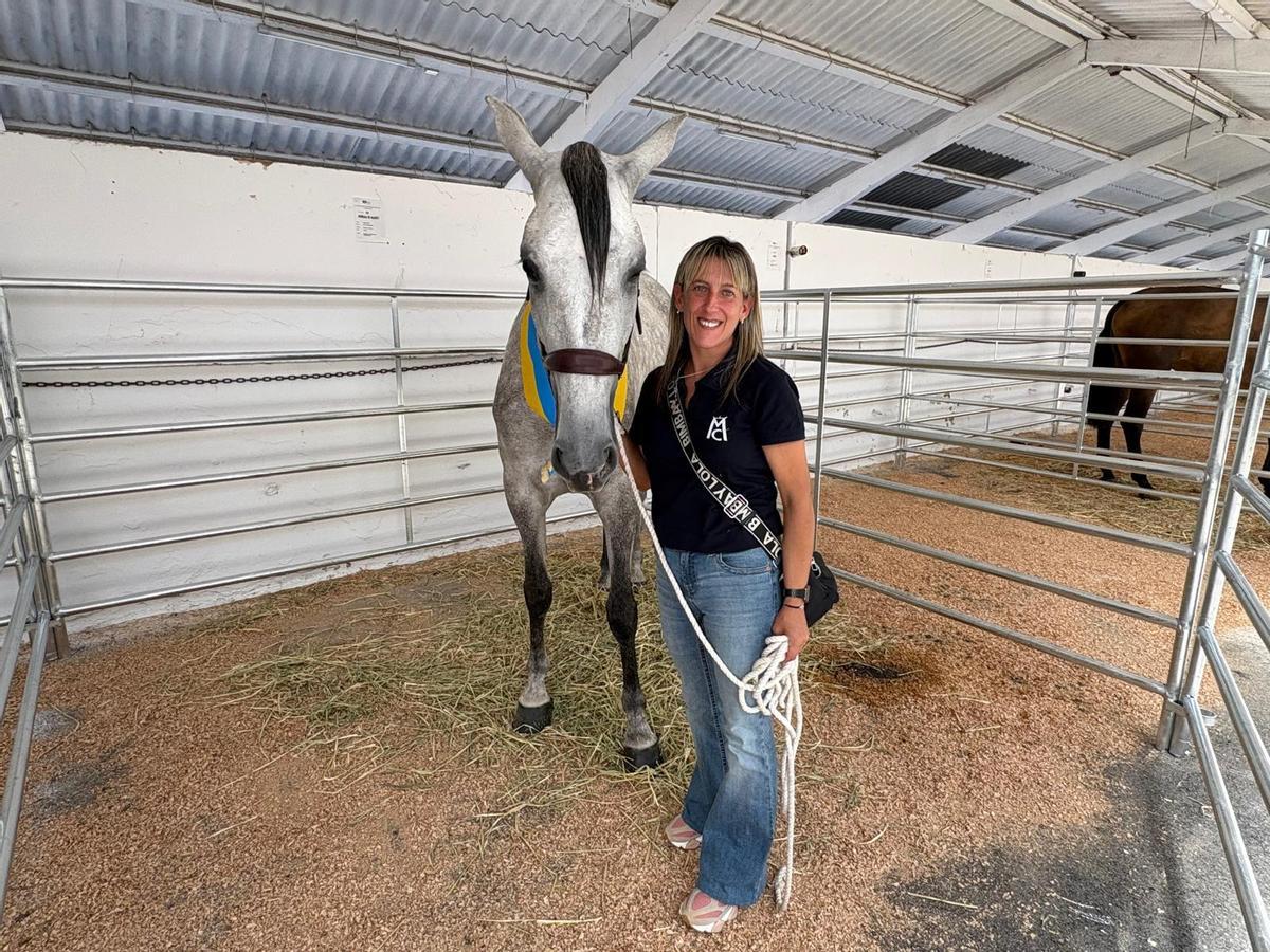 Tineo reúne a los mejores ejemplares de pura raza española y cruzados en su concurso caballar