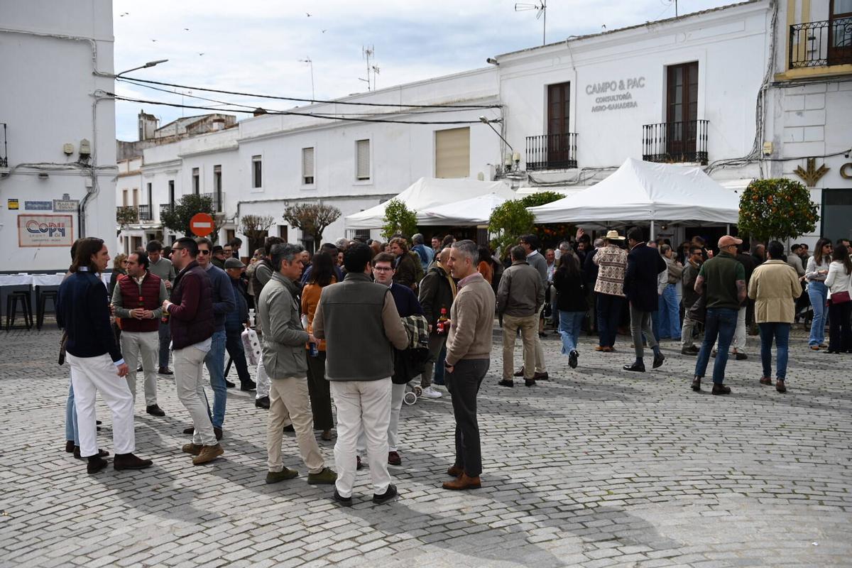 Galería | Feria de Olivenza 2026