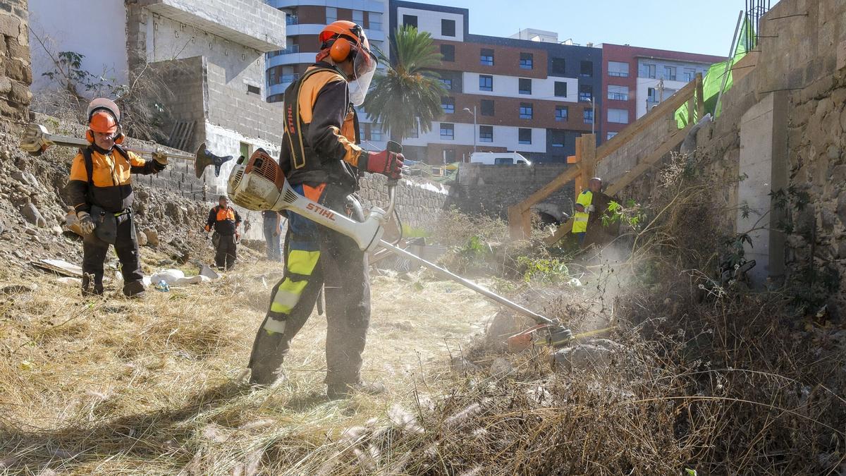 Limpieza del Barranco de La Ballena de forma preventiva por la borrasca Claudia