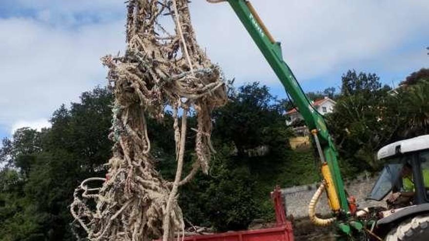 Miño llena ocho remolques con residuos retirados de Playa Grande