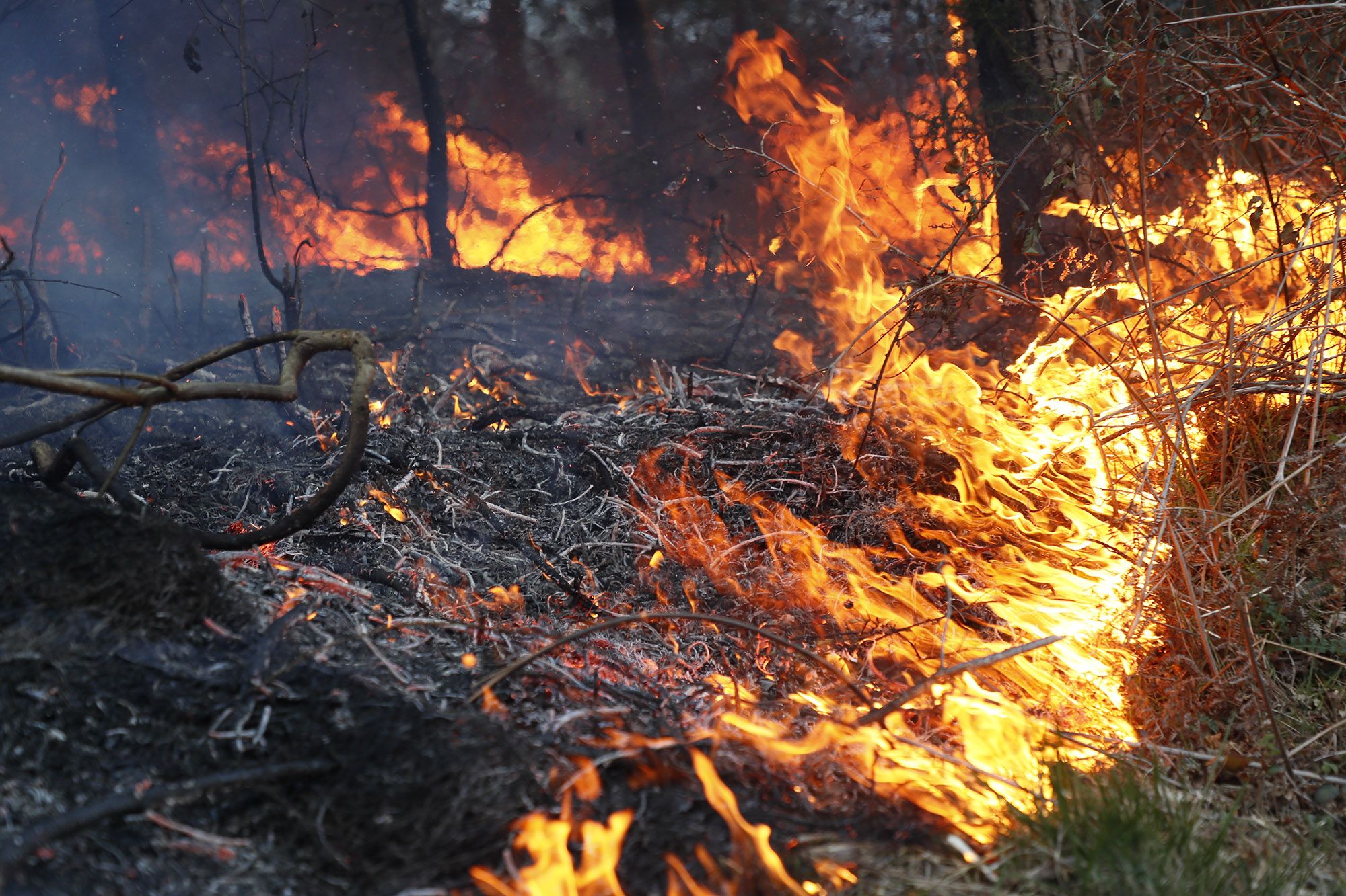 El viento alimenta la primera ola de incendios del año en Galicia en Baleira