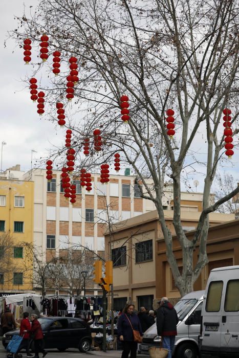 Celebración del Año Nuevo Chino en Pere Garau