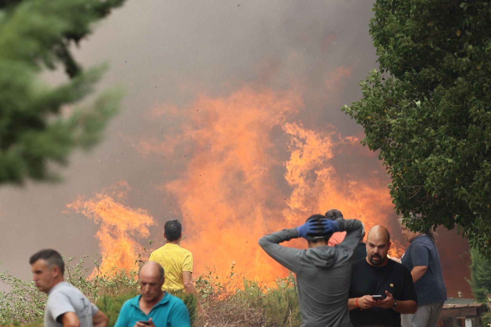 EN IMÁGENES | El incendio forestal de Añón de Moncayo